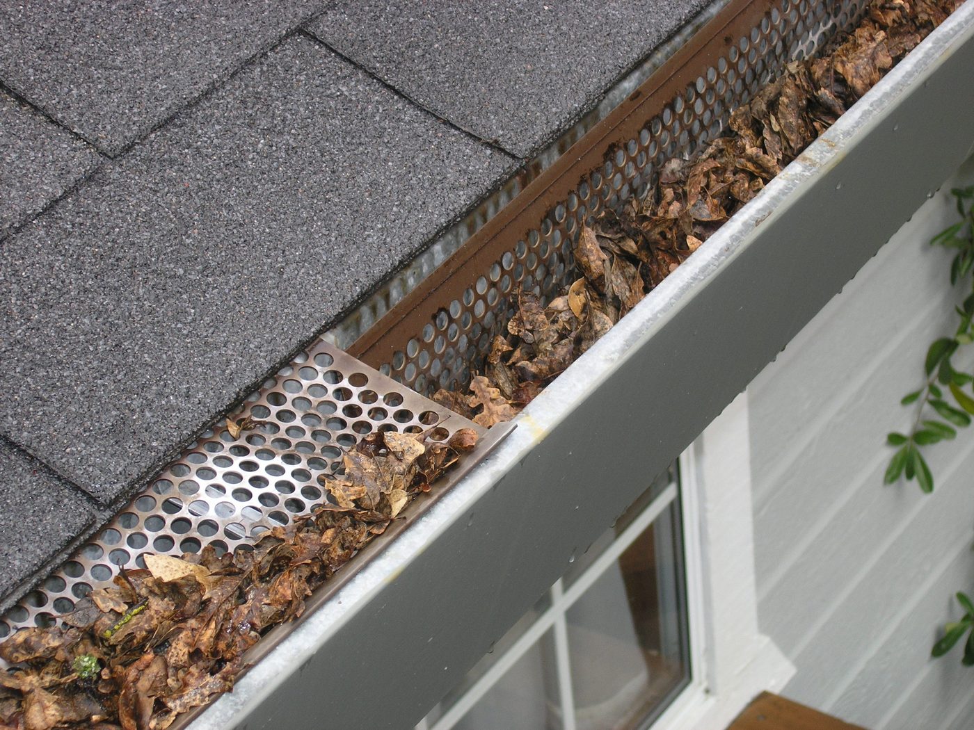 A gutter full of leaves ready for clearing